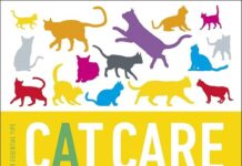 Cat Care Every Proprietor Must Know For Delighted Felines 10 Crucial Cat Care Programs Every Proprietor Must Know for Delighted, Wholesome Felines