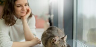 How Can I Keep My Cat Healthy and Happy? New Best 2025 Tips A cat enjoying a balanced meal in a clean dish