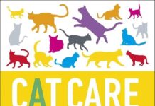This Are The Best Cat Care Guidelines This Are The Best Cat Care Guidelines